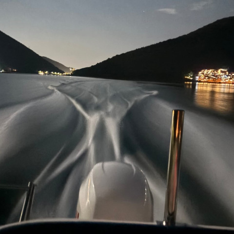 Private boat tour on Boka Bay — white speedboat on clear blue water